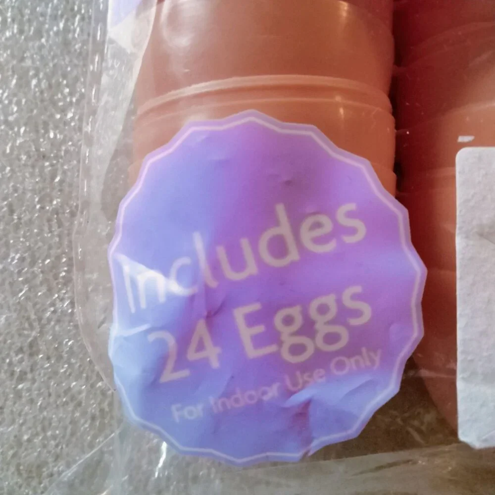 Easter Fill Eggs Hinged 24 Ct Pink Orange Yellow Green Plastic Party Favor